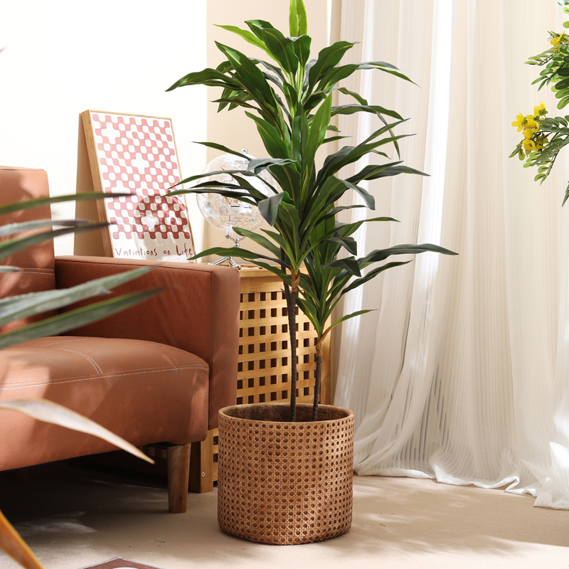 Meubles pour appartements de p - Furniture Paradise & Hardware Ghaziabad By Owner avis et prix